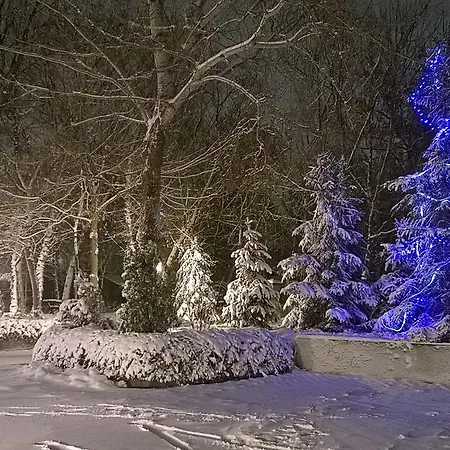 Guest house Forest