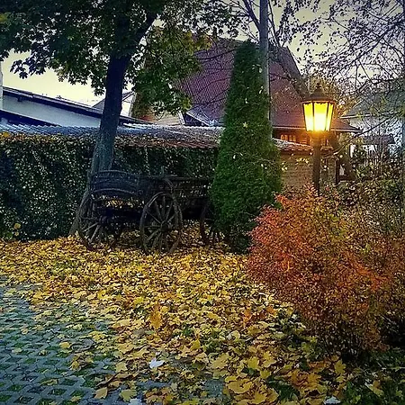 Forest Πανσιόν 4*