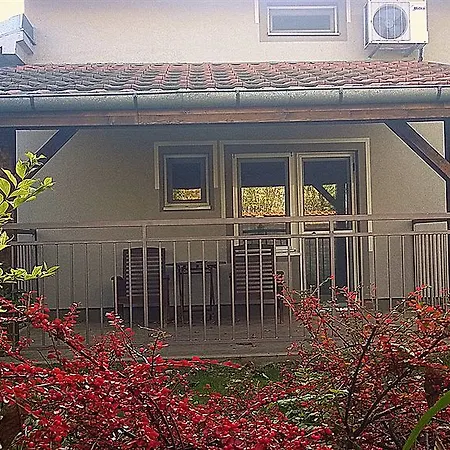 Forest Guest house